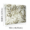 Watercolor Leaves Peel and Stick Wallpaper Peel and Stick Wallpaper RoomMates   
