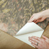 Dandelion Peel and Stick Wallpaper Peel and Stick Wallpaper RoomMates   