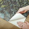 Dandelion Peel and Stick Wallpaper Peel and Stick Wallpaper RoomMates   