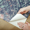 Dandelion Peel and Stick Wallpaper Peel and Stick Wallpaper RoomMates   