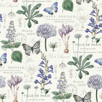 Butterfly Botanical Peel and Stick Wallpaper Peel and Stick Wallpaper RoomMates Roll White 