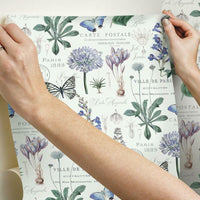Butterfly Botanical Peel and Stick Wallpaper Peel and Stick Wallpaper RoomMates   