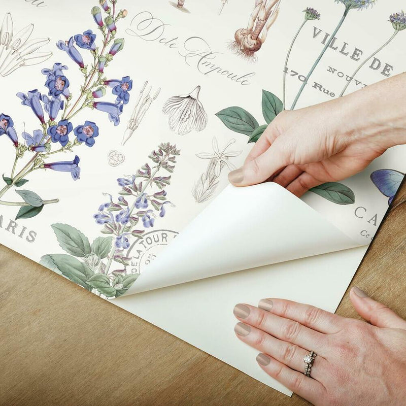Butterfly Botanical Peel and Stick Wallpaper Peel and Stick Wallpaper RoomMates   