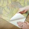 Jungle Leaf Canopy Peel and Stick Wallpaper Peel and Stick Wallpaper RoomMates   