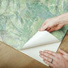 Jungle Leaf Canopy Peel and Stick Wallpaper Peel and Stick Wallpaper RoomMates   