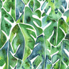 CatCoq Philodendron Peel and Stick Wallpaper Peel and Stick Wallpaper RoomMates Roll Green 