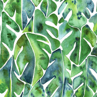 CatCoq Philodendron Peel and Stick Wallpaper Peel and Stick Wallpaper RoomMates Roll Green 