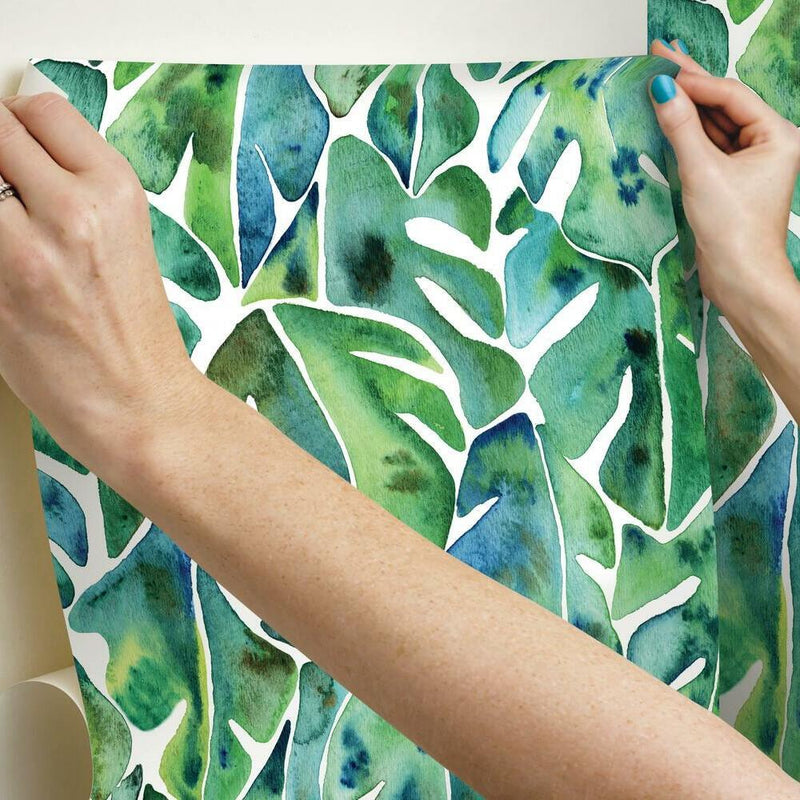 CatCoq Philodendron Peel and Stick Wallpaper Peel and Stick Wallpaper RoomMates   