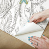 Butterfly Sketch Peel and Stick Wallpaper Peel and Stick Wallpaper RoomMates   