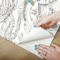 Butterfly Sketch Peel and Stick Wallpaper Peel and Stick Wallpaper RoomMates   