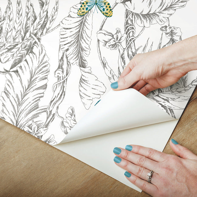 Butterfly Sketch Peel and Stick Wallpaper Peel and Stick Wallpaper RoomMates   