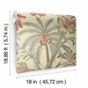 Waverly Exotic Curiosity Peel and Stick Wallpaper Peel and Stick Wallpaper RoomMates   