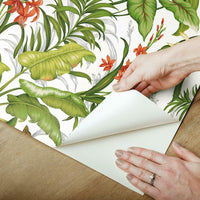 Waverly Wailea Coast Peel and Stick Wallpaper Peel and Stick Wallpaper RoomMates   