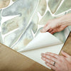 CatCoq Philodendron Peel and Stick Wallpaper Peel and Stick Wallpaper RoomMates   