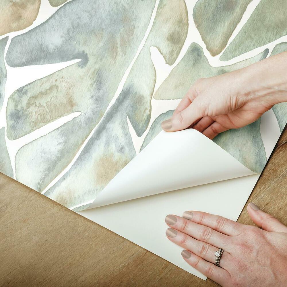 CatCoq Philodendron Peel and Stick Wallpaper Peel and Stick Wallpaper RoomMates   