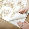 Butterfly Sketch Peel and Stick Wallpaper Peel and Stick Wallpaper RoomMates   