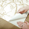 Vogue Sketches Peel and Stick Wallpaper Peel and Stick Wallpaper RoomMates   