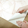 Vogue Sketches Peel and Stick Wallpaper Peel and Stick Wallpaper RoomMates   