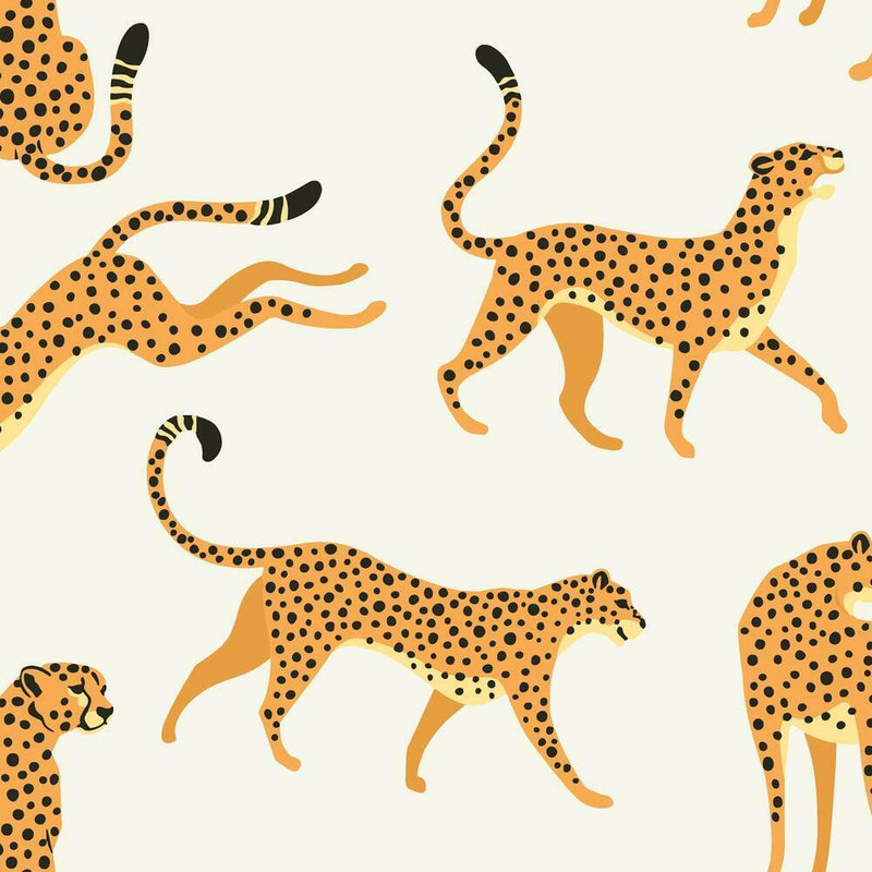 Cheetah Cheetah Peel & Stick Wallpaper Peel and Stick Wallpaper RoomMates Roll White 