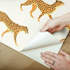 Cheetah Cheetah Peel & Stick Wallpaper Peel and Stick Wallpaper RoomMates   