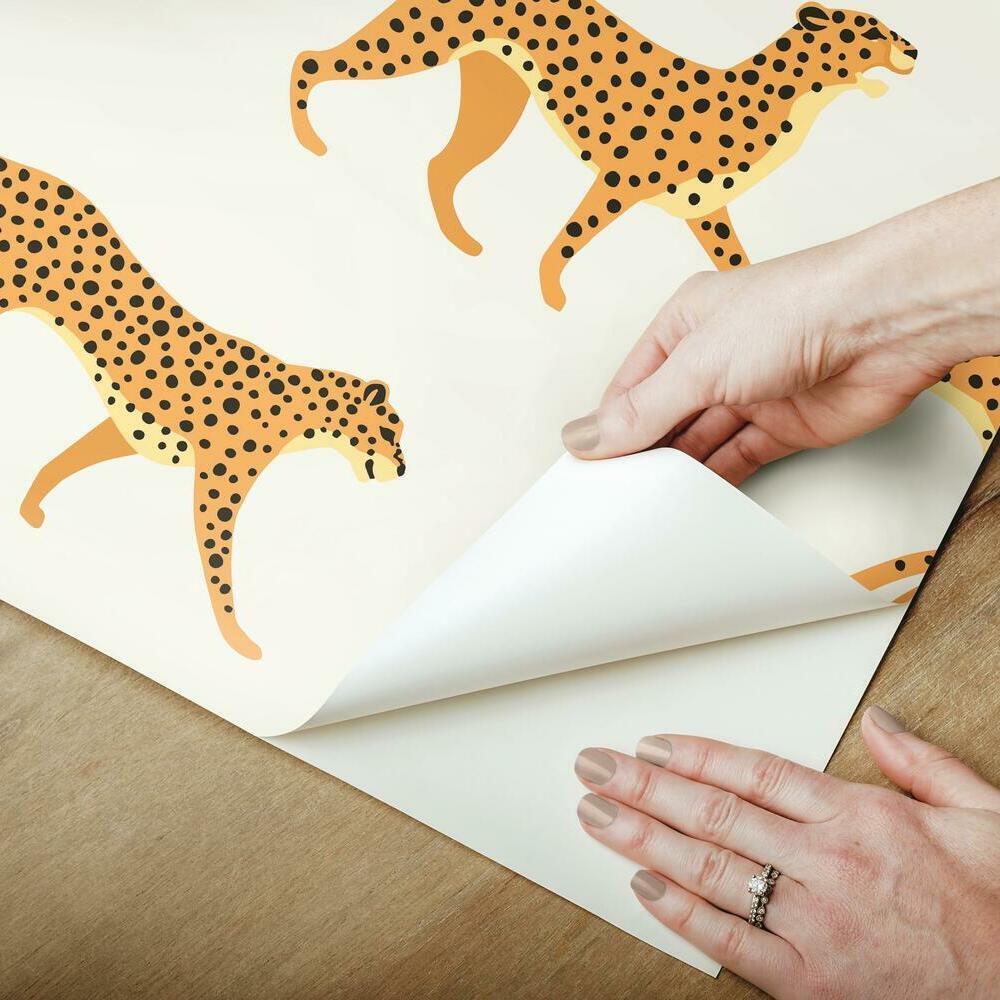 Cheetah Cheetah Peel & Stick Wallpaper Peel and Stick Wallpaper RoomMates   