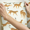 Cheetah Cheetah Peel & Stick Wallpaper Peel and Stick Wallpaper RoomMates   