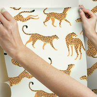 Cheetah Cheetah Peel & Stick Wallpaper Peel and Stick Wallpaper RoomMates   