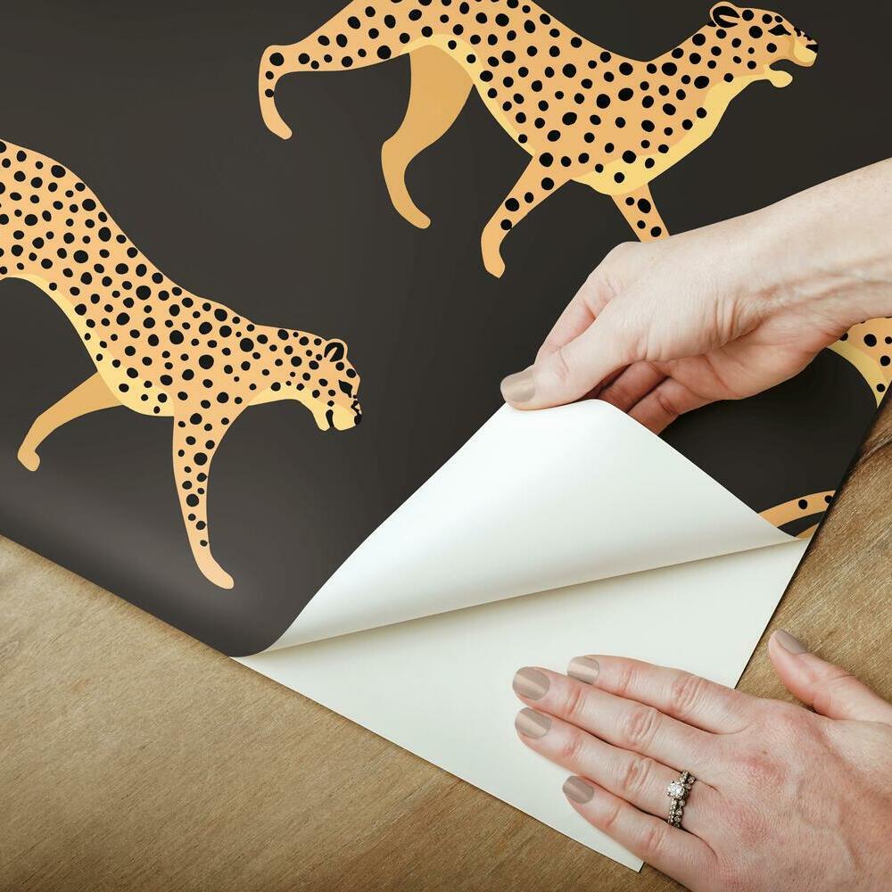 Cheetah Cheetah Peel & Stick Wallpaper Peel and Stick Wallpaper RoomMates   