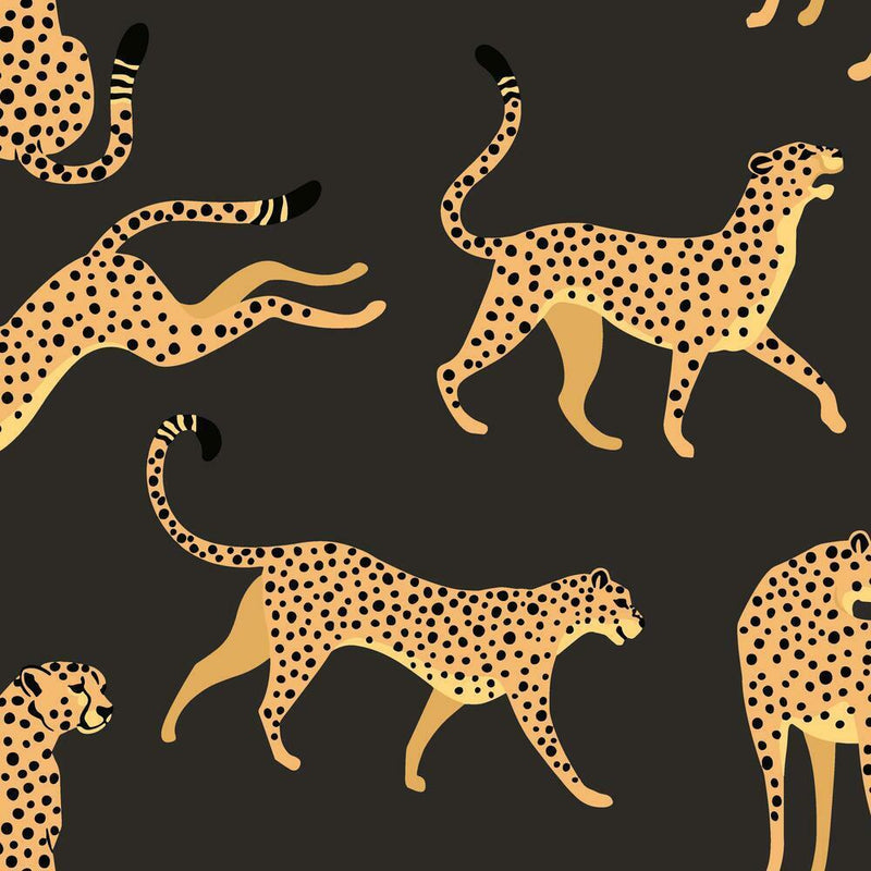 Cheetah Cheetah Peel & Stick Wallpaper Peel and Stick Wallpaper RoomMates Roll Black 
