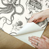 Deep Sea Toile Peel and Stick Wallpaper Peel and Stick Wallpaper RoomMates   