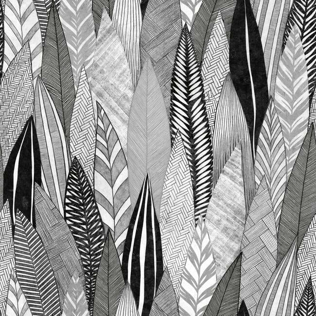 Fern & Feathers Peel & Stick Wallpaper Peel and Stick Wallpaper RoomMates Roll Grey/White 