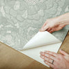 Zen Dahlia Peel & Stick Wallpaper Peel and Stick Wallpaper RoomMates   