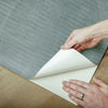 Nikki Chu Sahara Peel & Stick Wallpaper Peel and Stick Wallpaper RoomMates   