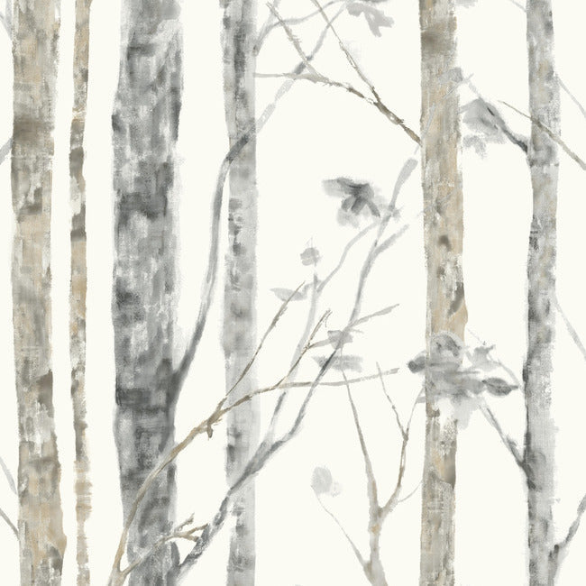 Birch Trees Peel and Stick Wallpaper Peel and Stick Wallpaper RoomMates Roll  