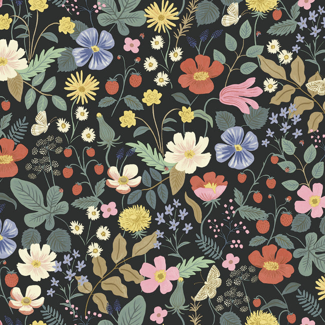 Strawberry Fields Wallpaper Wallpaper Rifle Paper Co. Double Roll Black 