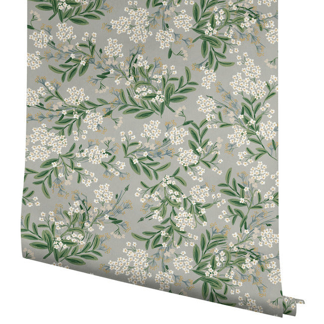 Cornflower Wallpaper Wallpaper Rifle Paper Co.   