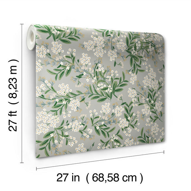 Cornflower Wallpaper Wallpaper Rifle Paper Co.   
