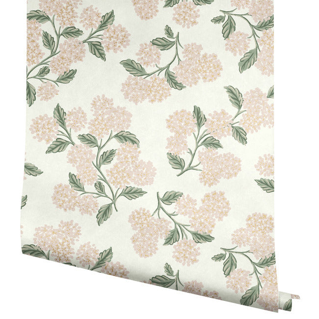 Hydrangea Wallpaper Wallpaper Rifle Paper Co.   