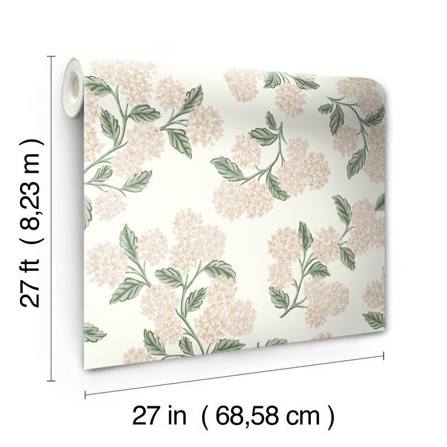 Hydrangea Wallpaper Wallpaper Rifle Paper Co.   