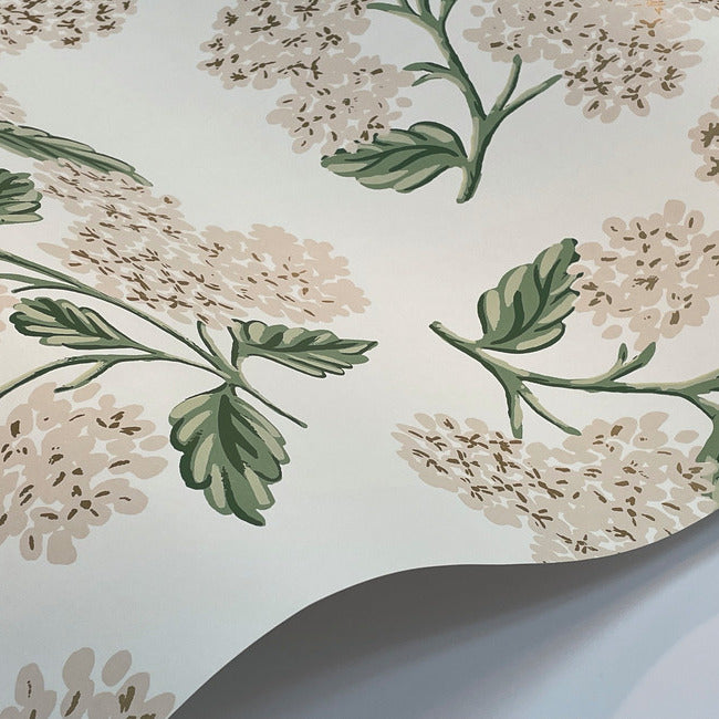 Hydrangea Wallpaper Wallpaper Rifle Paper Co.   