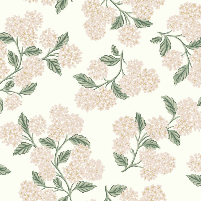 Hydrangea Wallpaper Wallpaper Rifle Paper Co. Double Roll White & Blush 