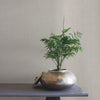 Rugged Linen High Performance Wallpaper High Performance Wallpaper Ronald Redding Designs   