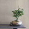 Rugged Linen High Performance Wallpaper High Performance Wallpaper Ronald Redding Designs   