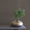Rugged Linen High Performance Wallpaper High Performance Wallpaper Ronald Redding Designs   