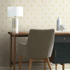 Stella Star Wallpaper Wallpaper York   