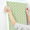 Frond Fan Wallpaper Wallpaper York   