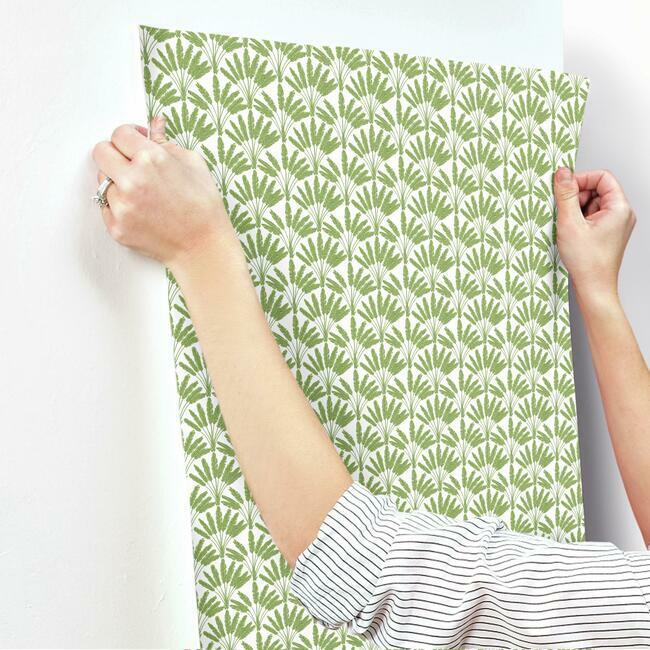 Frond Fan Wallpaper Wallpaper York   
