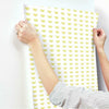 Citrus Party Wallpaper Wallpaper York   