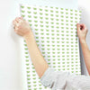 Citrus Party Wallpaper Wallpaper York   