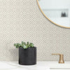 Pergola Lattice Wallpaper Wallpaper York   